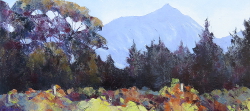 Autumn Vines near Delheim Wine Estate | 2017 | Oil on Canvas | 46 x 64 cm